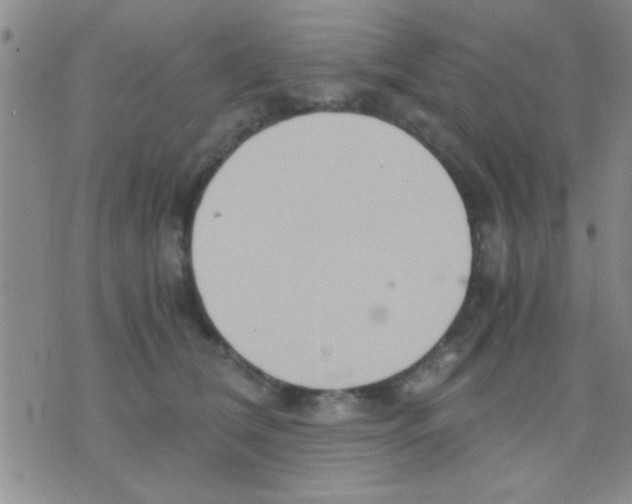 X0000075890612200610151753