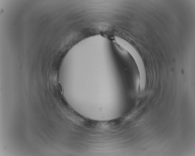 X0000075890613200610151753