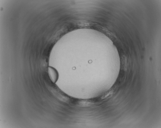 X0000075890614200610151753