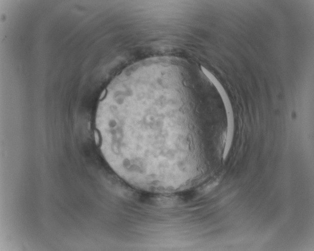 X0000075890615200610151753