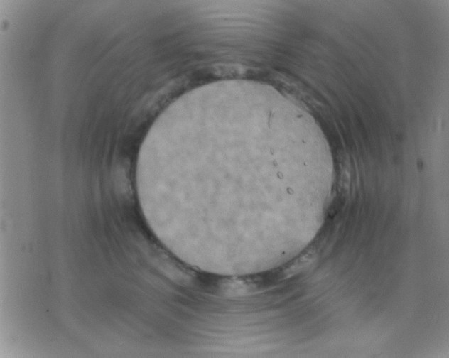 X0000075890616200610151753