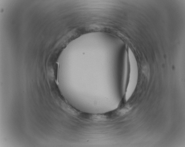 X0000075890617200610151753