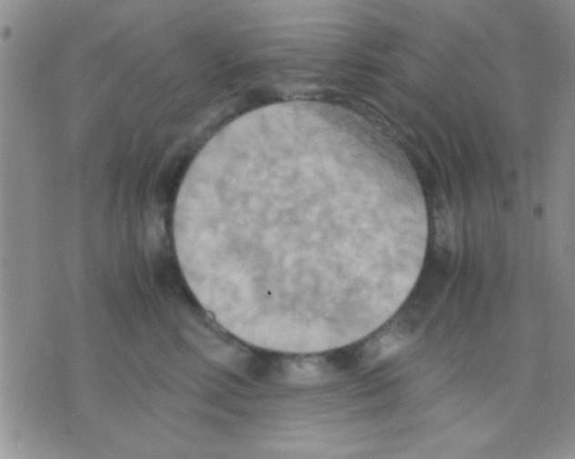 X0000075890618200610151753