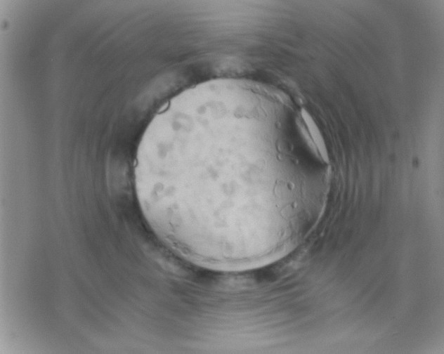 X0000075890619200610151753