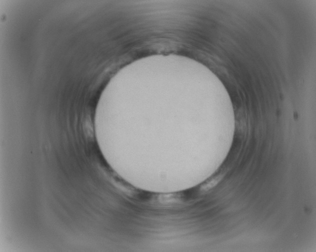 X0000075890622200610151753