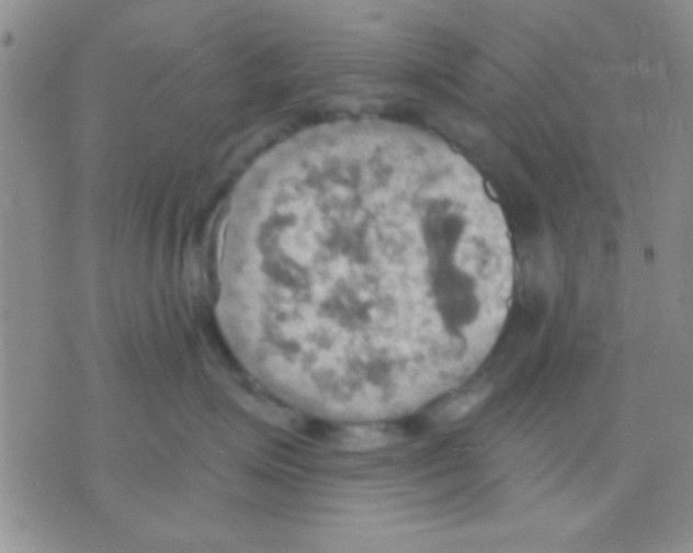 X0000075890623200610151753