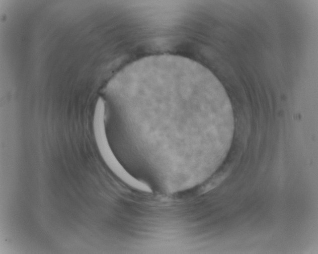 X0000075890624200610151753