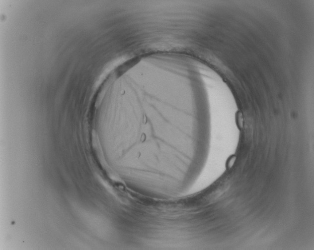 X0000075890626200610151752