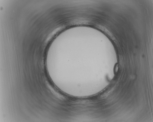 X0000075890629200610151752