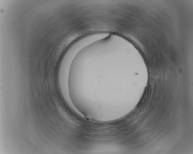 X0000075890631200610151752