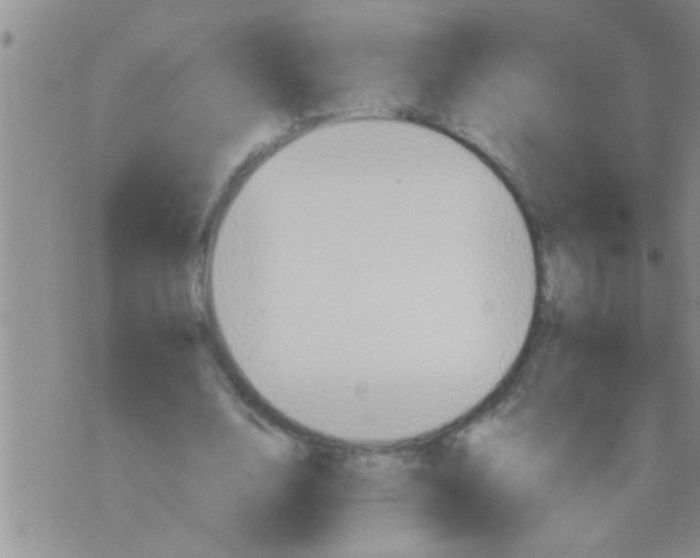 X0000075890632200610151752