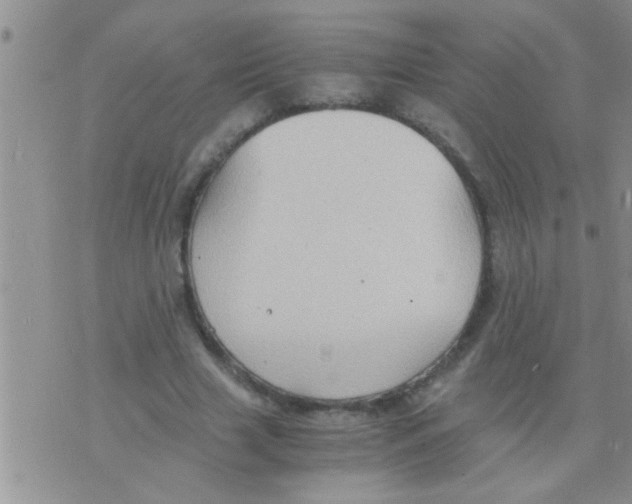 X0000075890633200610151752