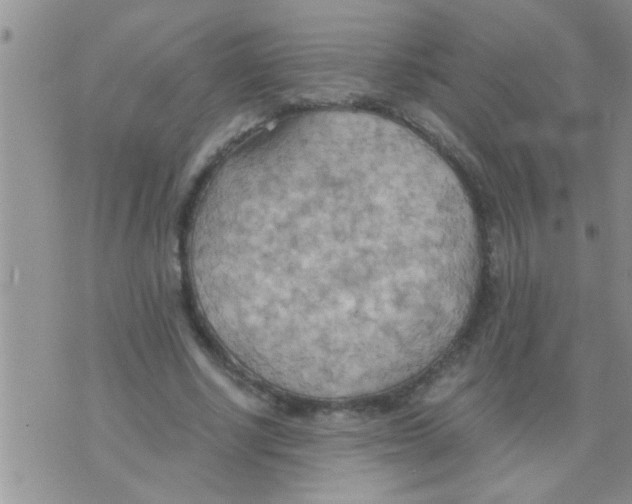 X0000075890634200610151752