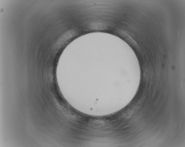 X0000075890635200610151752