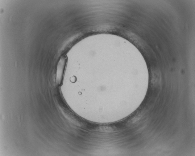 X0000075890636200610151752