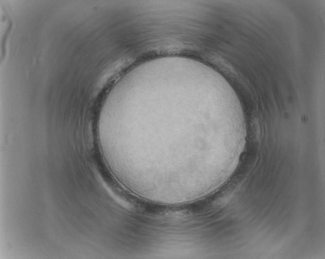 X0000075890638200610151752