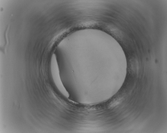 X0000075890640200610151752