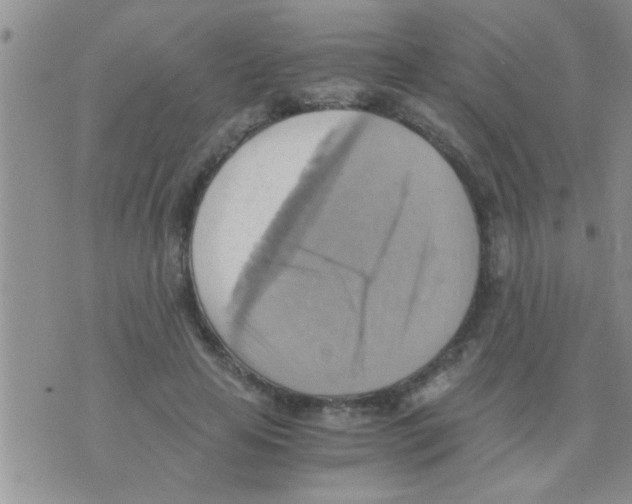 X0000075890641200610151752