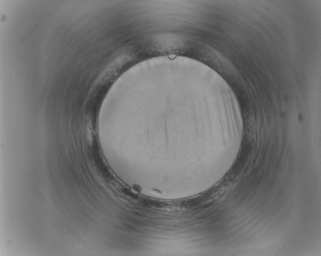 X0000075890644200610151752