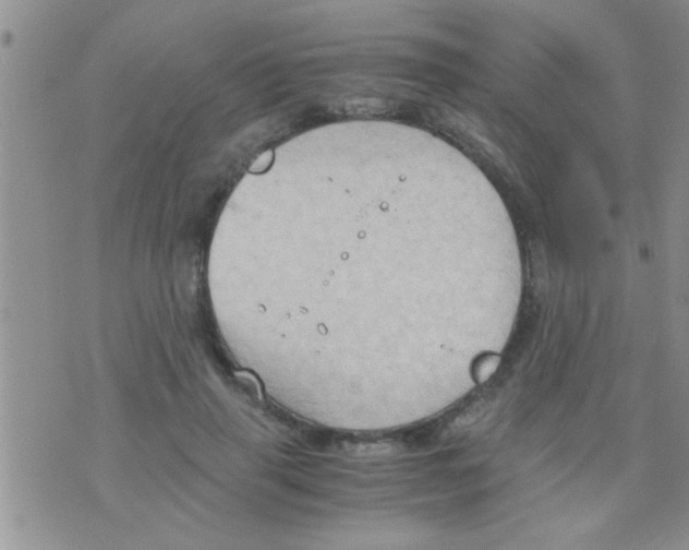 X0000075890645200610151752