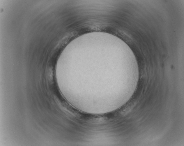 X0000075890646200610151752