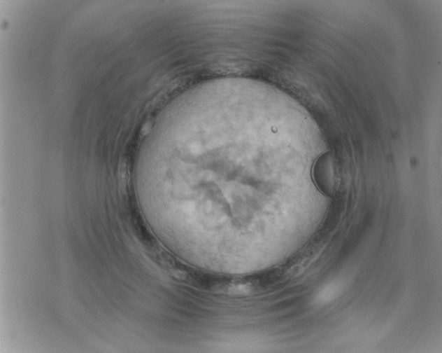 X0000075890647200610151752