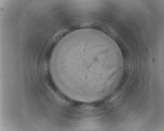 X0000075890648200610151752