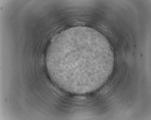 X0000075890649200610151752