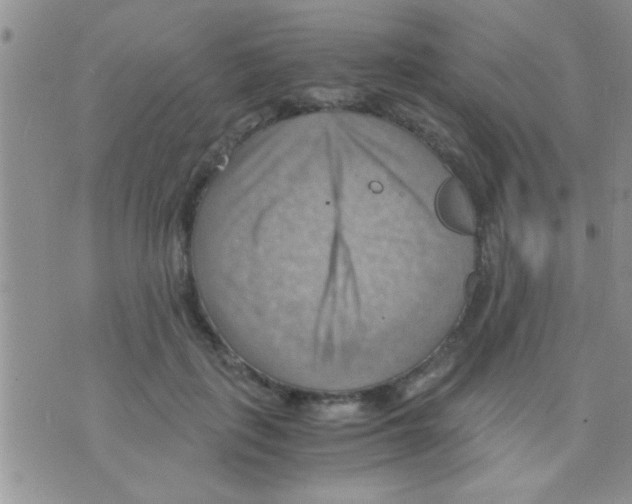 X0000075890651200610151752