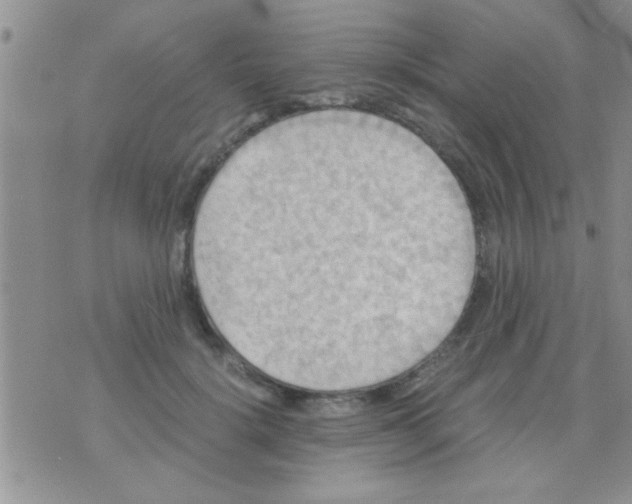 X0000075890652200610151752