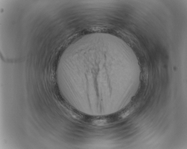 X0000075890653200610151752