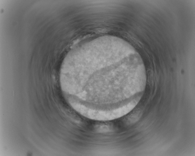 X0000075890655200610151752