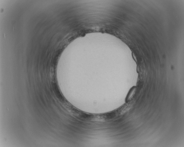 X0000075890656200610151752