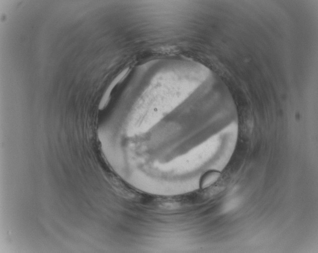 X0000075890658200610151752