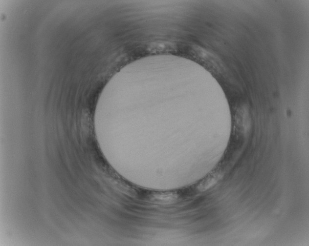 X0000075890659200610151752