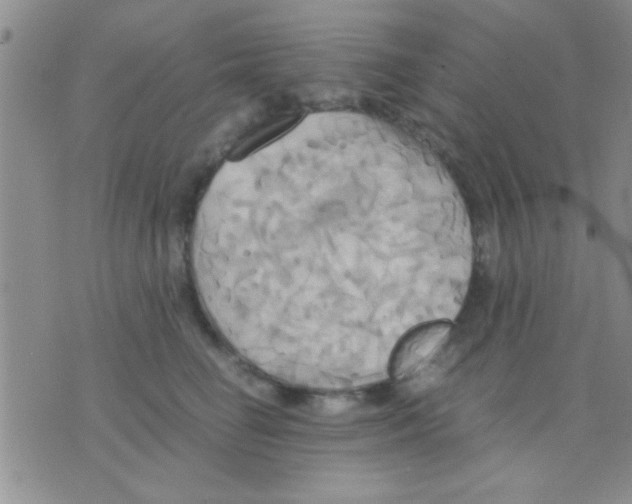 X0000075890662200610151752