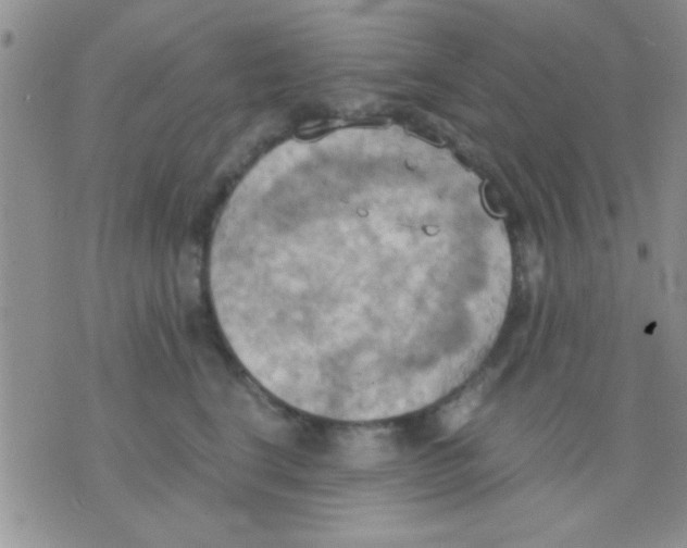 X0000075890664200610151752