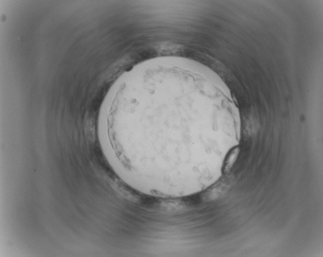 X0000075890666200610151752