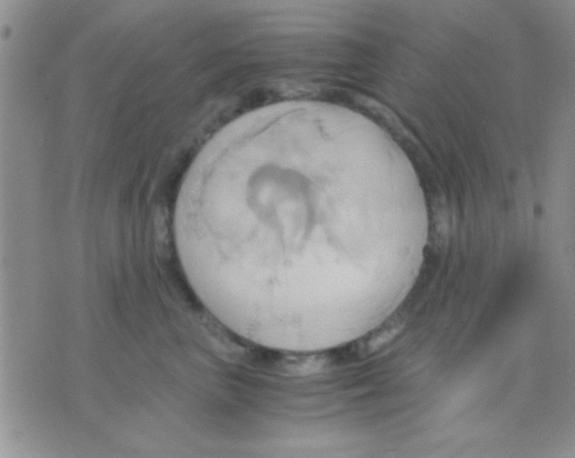 X0000075890667200610151752