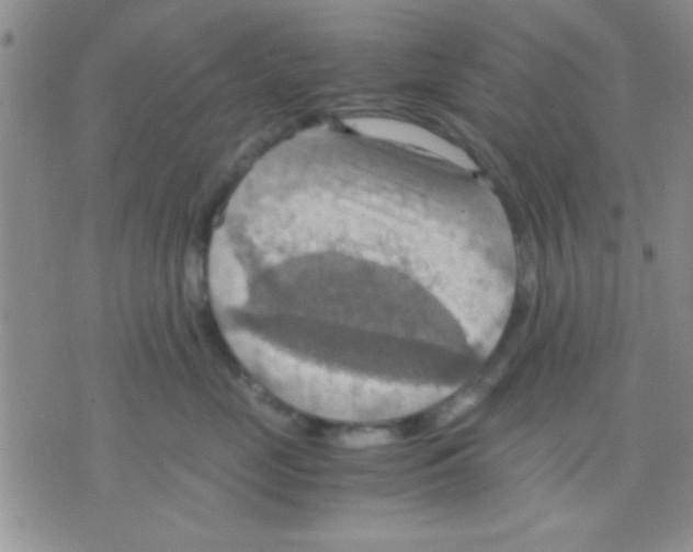 X0000075890669200610151752