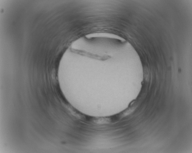 X0000075890670200610151752