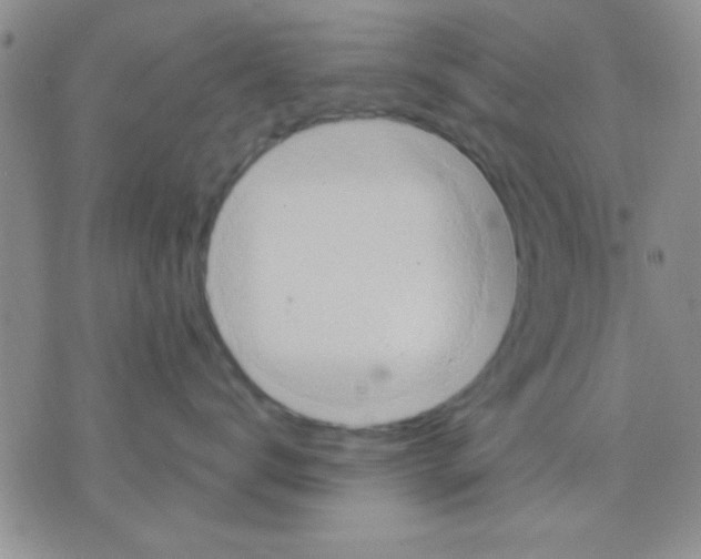 X0000075890672200610151753