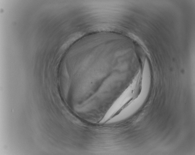 X0000075890673200610151752