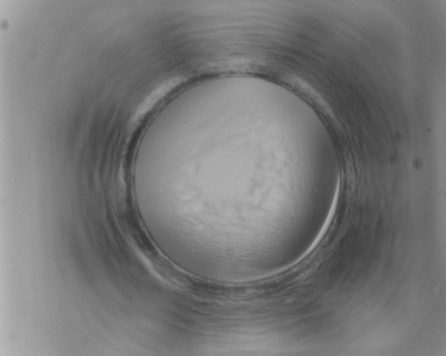 X0000075890674200610151752