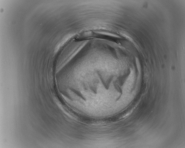 X0000075890677200610151752