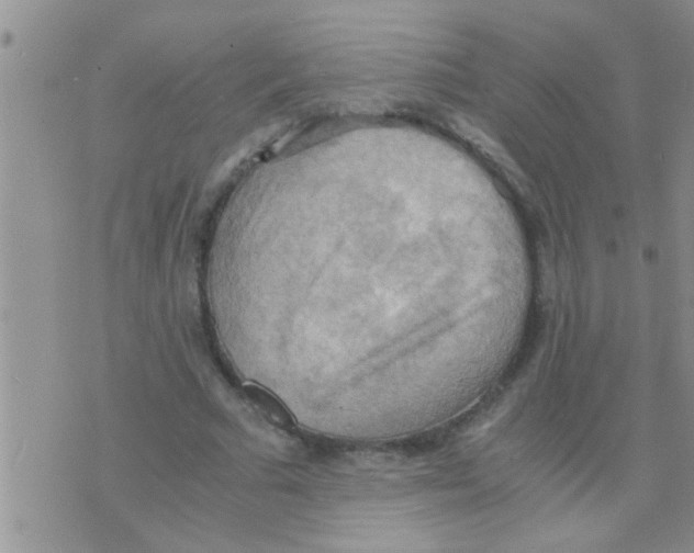 X0000075890681200610151752