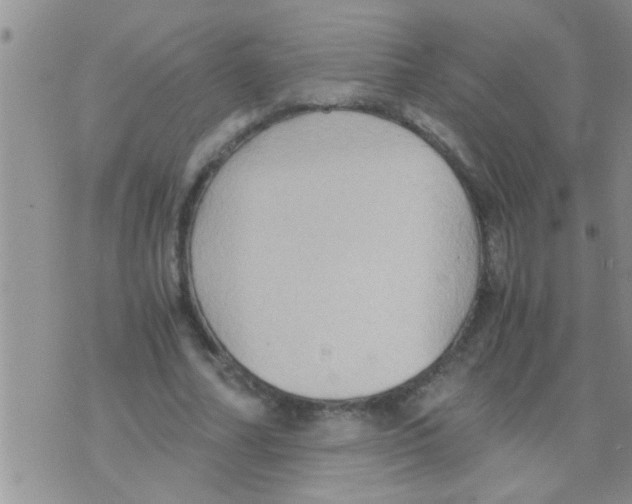 X0000075890682200610151752