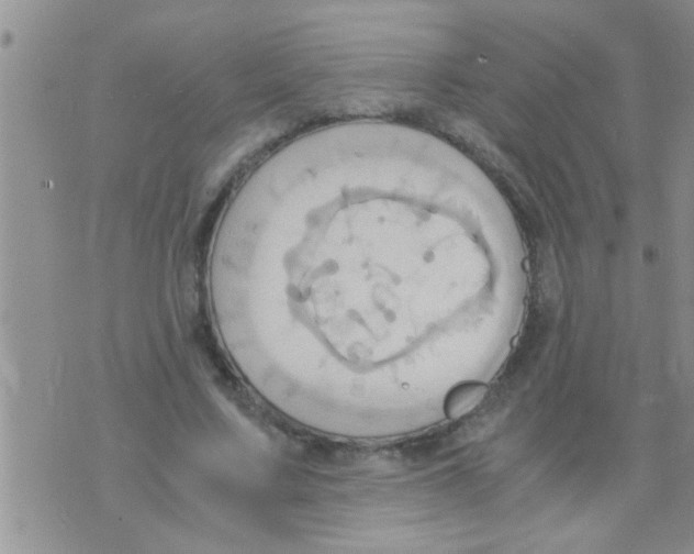 X0000075890683200610151752