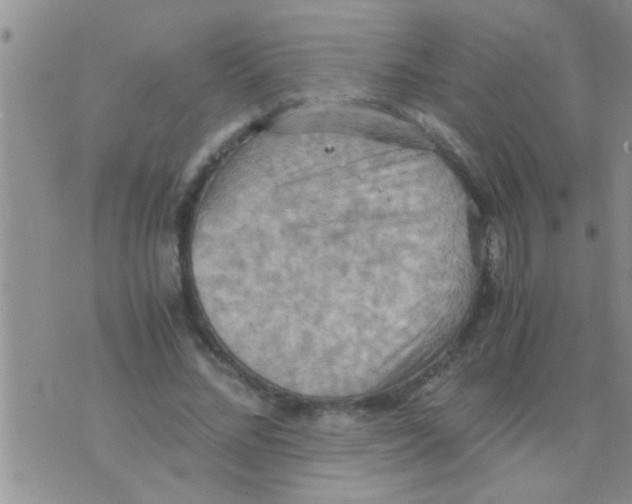 X0000075890684200610151752