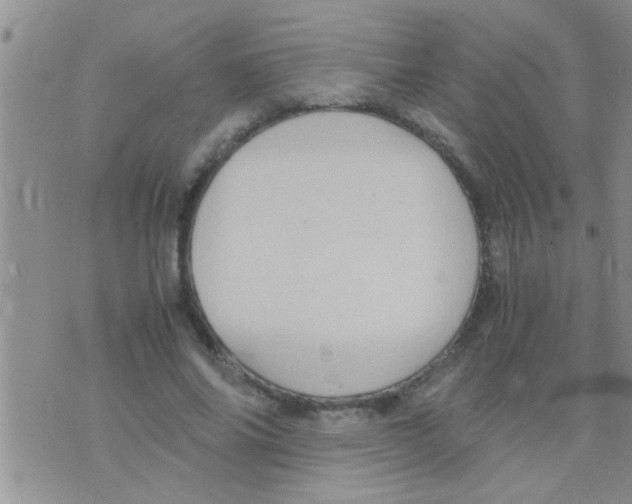 X0000075890686200610151752